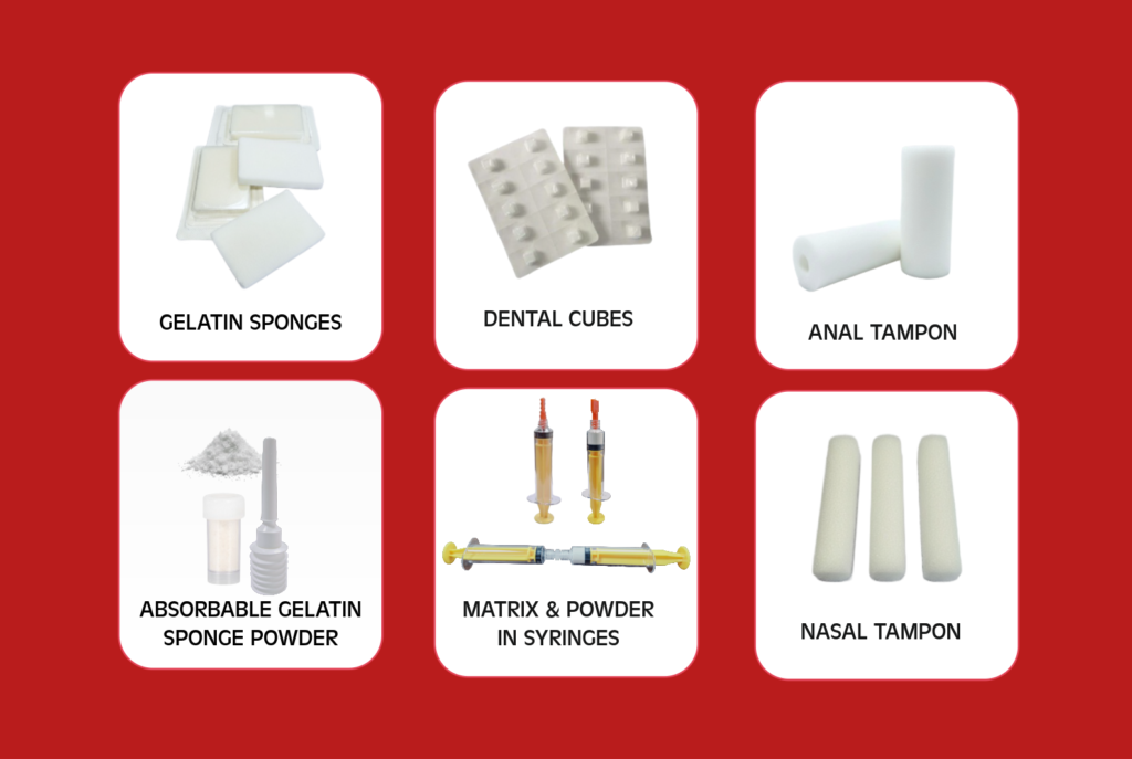 ZICOSPON ZICOSPON CATALOGUE Veterinary 21 2 E1776690189737 1024x687